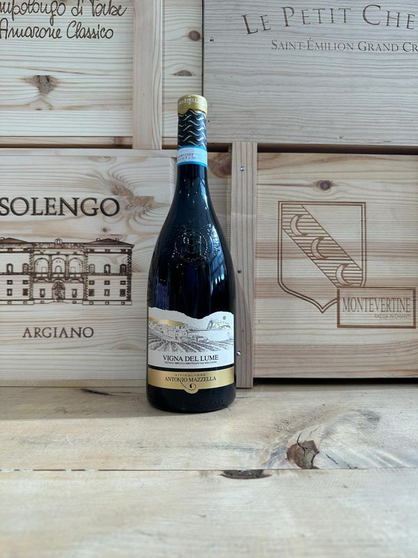 Biancolella " Vigna del Lume " Antonio Mazzella 2024