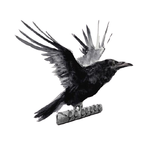 Raven Route - Online Vape Store
