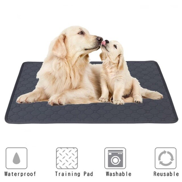 Waterproof Pets Diaper