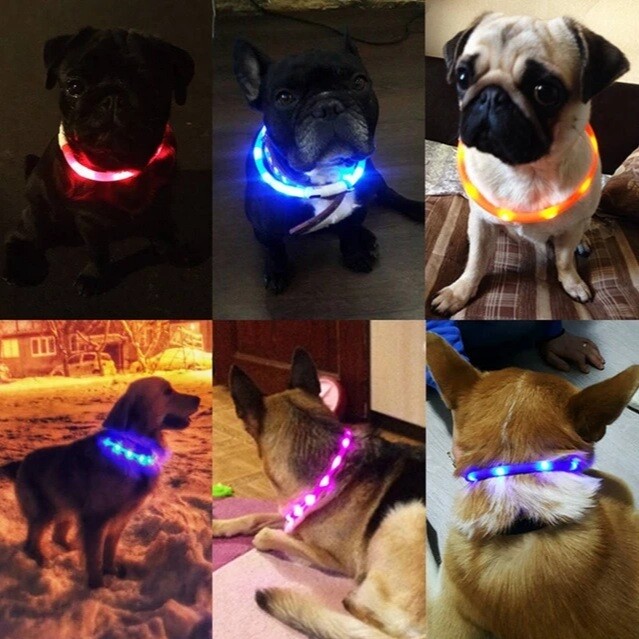 LED Glowing Dog Collar