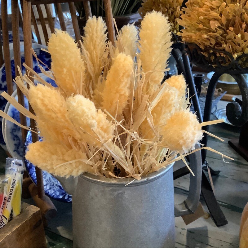 Amber Wheat Bush