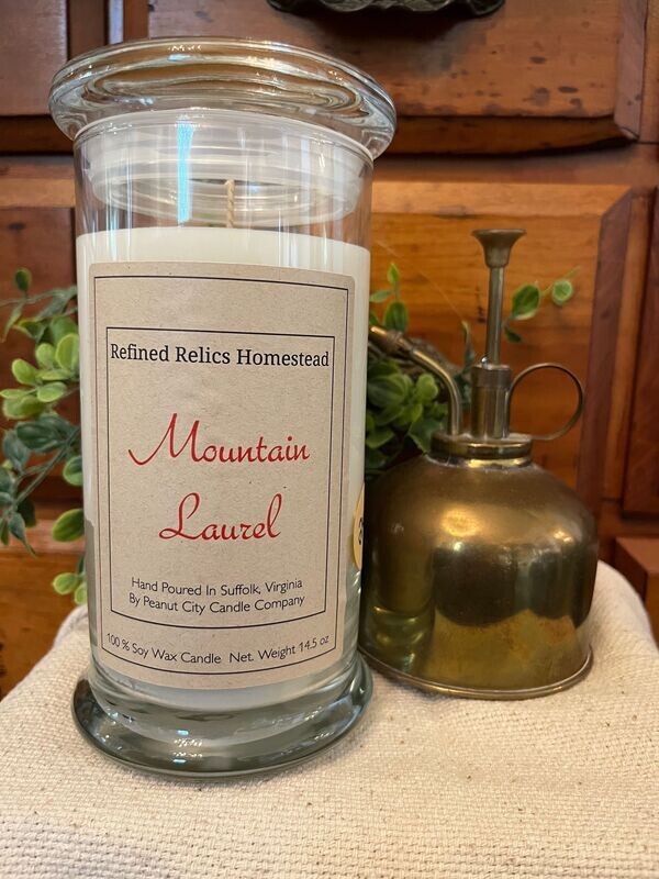 Mountain Laurel