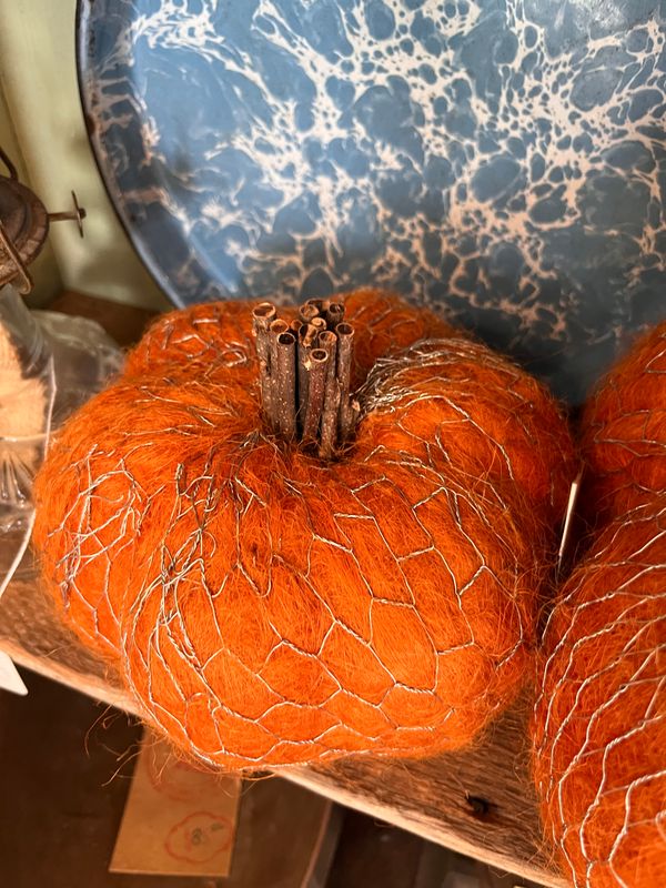 Pumpkin Chicken Wire & Wool