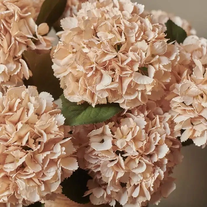 Abigail Ahern Hydrangea Vanilla Stem - Artificial Flower Abigail Ahern Hydrangea Vanilla Stem - Artificial Flower