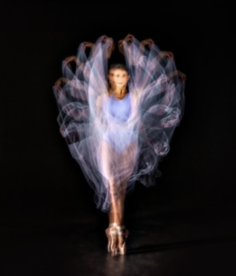 Purple feathers - Stuart Lawson