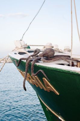 "Octopus" Georgios Karapanagiotis