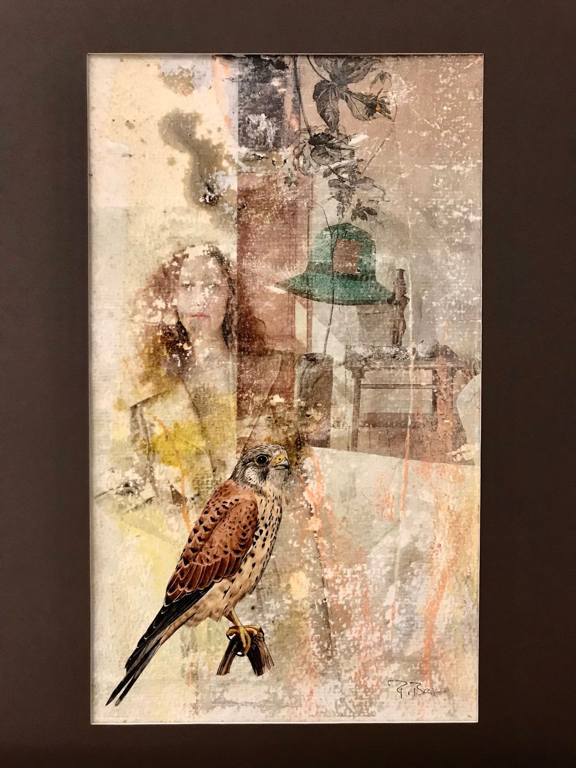 „Hawk with hat“  -  Regina Basaran