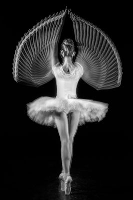 "Balance" Stuart Lawson