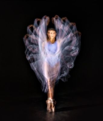 "Purple feathers" - Stuart Lawson