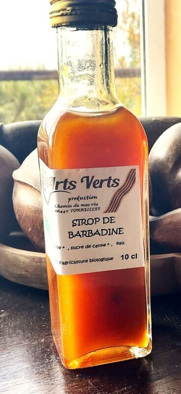 SIROP BARBADINE AB 100ML