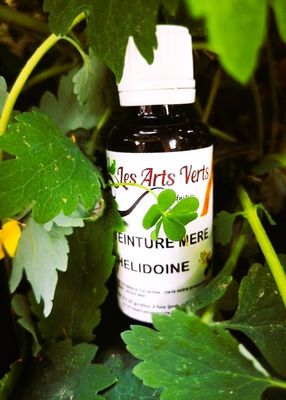 ELIXIR CHELIDOINE (ALCOOLATURE) 30 ml ELIXIR CHELIDOINE (ALCOOLATURE) 30 ml