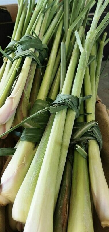 Citronnelle fraîche bio 4 TIGES