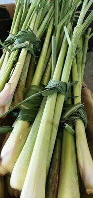 Citronnelle fraîche bio 4 TIGES