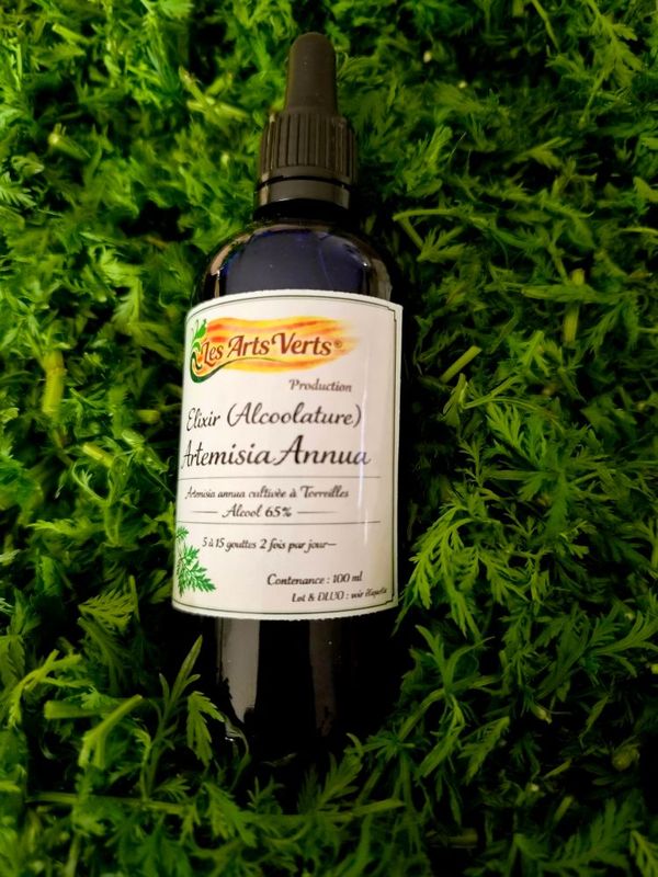 ELIXIR (TEINTURE MERE) ARTEMISIA ANNUA 100 ML ELIXIR (TEINTURE MERE) ARTEMISIA ANNUA 100 ML