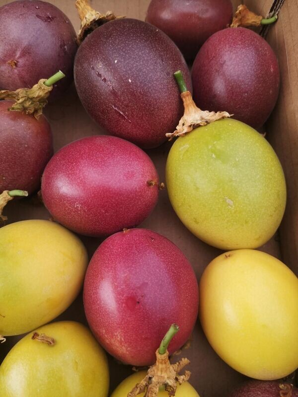 FRUITS DE LA PASSION AB 500 G