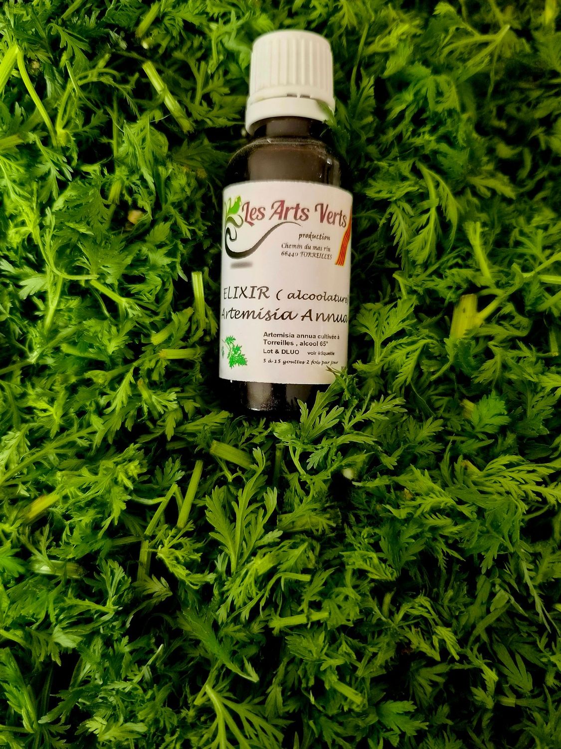 ELIXIR (TEINTURE MERE) ARTEMISIA ANNUA 30ML