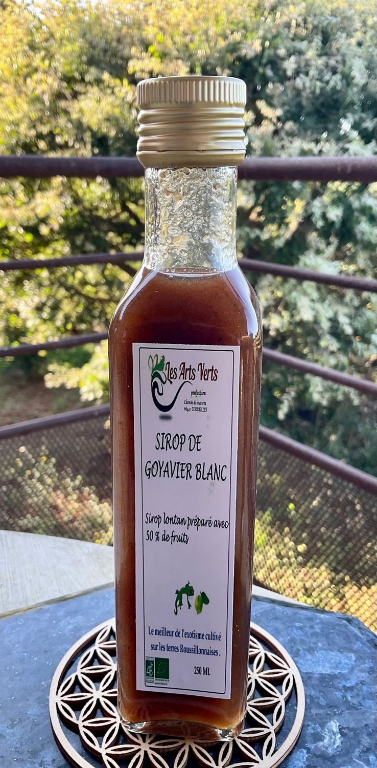 SIROP GOYAVIER BLANC 250ML
