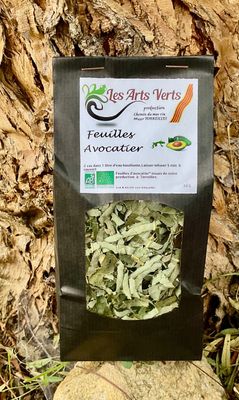 INFUSION FEUILLES AVOCATIER