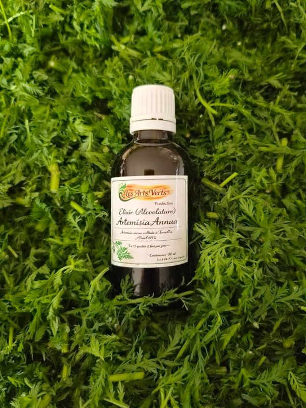 ELIXIR (teinture-mère)ARTEMISIA ANNUA 50 ML ELIXIR (teinture-mère)ARTEMISIA ANNUA 50 ML