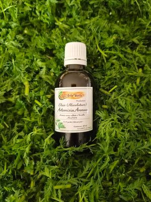 ELIXIR (teinture-mère)ARTEMISIA ANNUA 50 ML ELIXIR (teinture-mère)ARTEMISIA ANNUA 50 ML