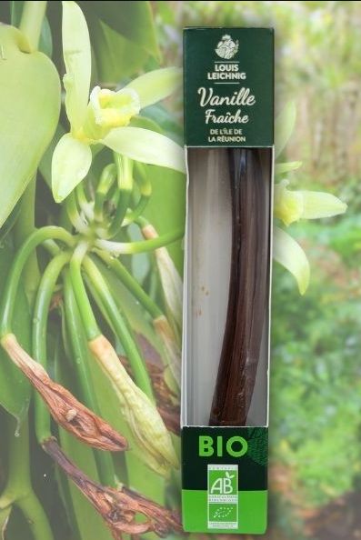 Vanille fraîche unité  bio Ti Planterre