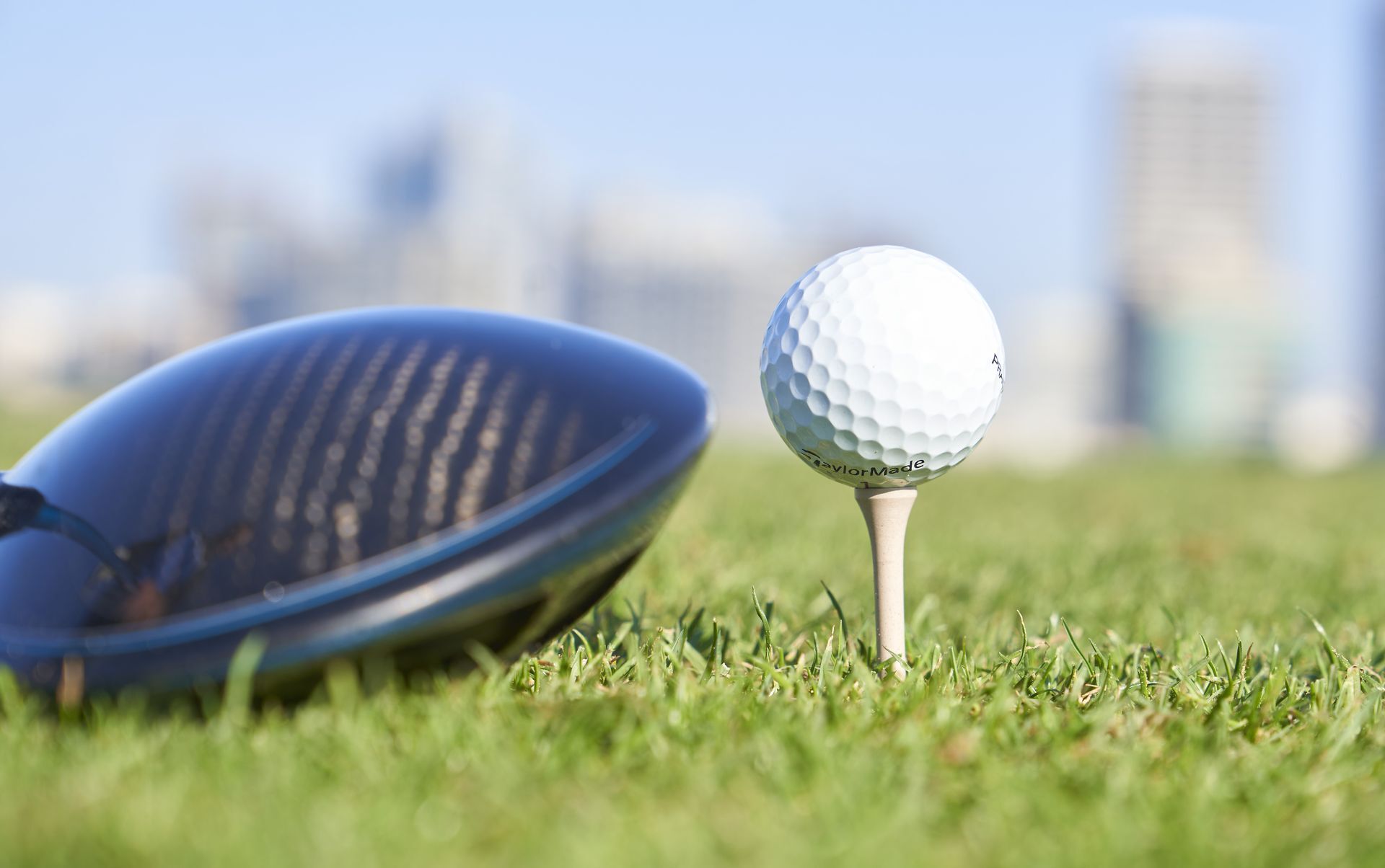 Palm Tees - Biodegradable Tee