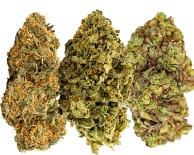 Flores CBD Premium