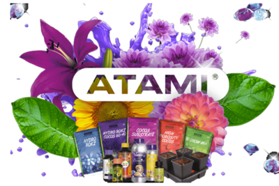 Atami