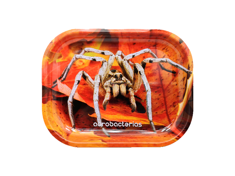 Bandeja Metal 27x16cm