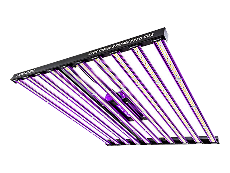 Lumatek Xtreme 1.000w