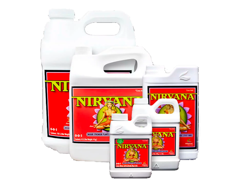 Nirvana