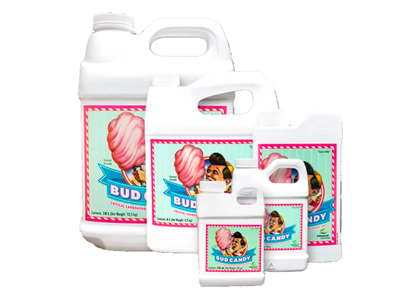 Bud Candy