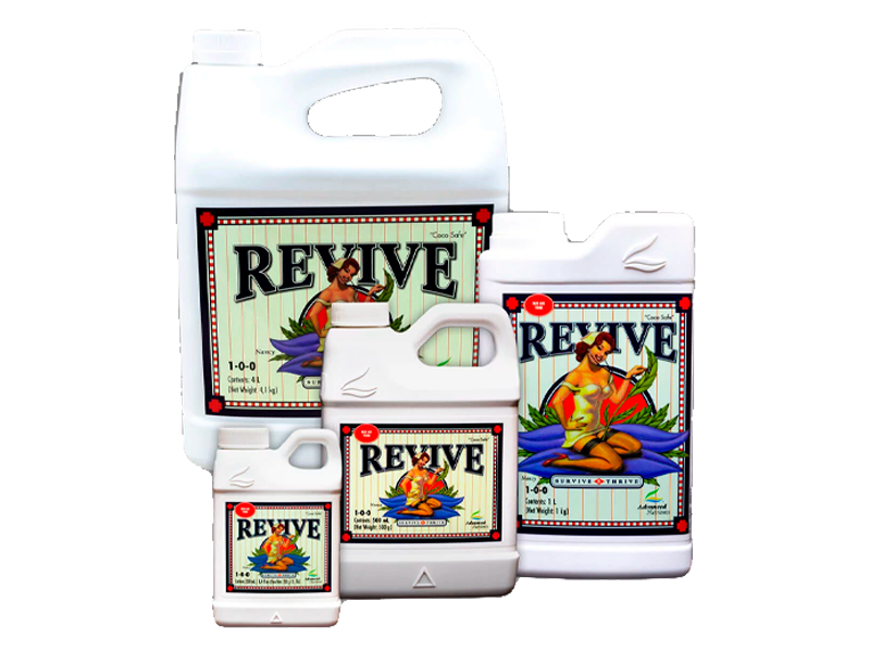 Revive