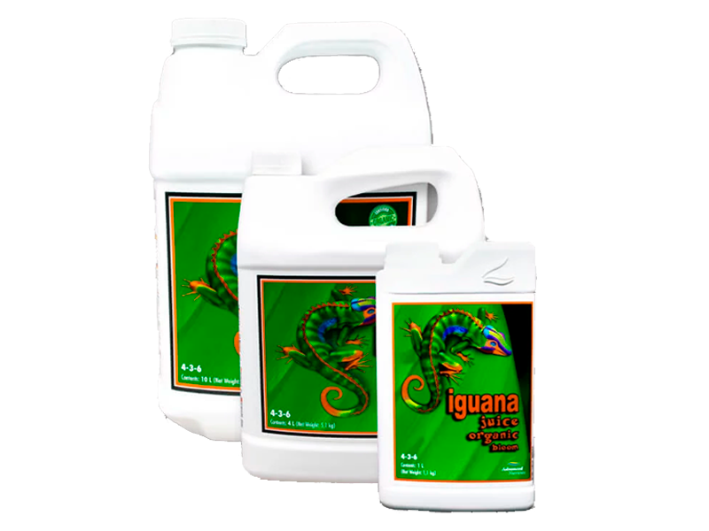 Iguana Juice Organic Bloom