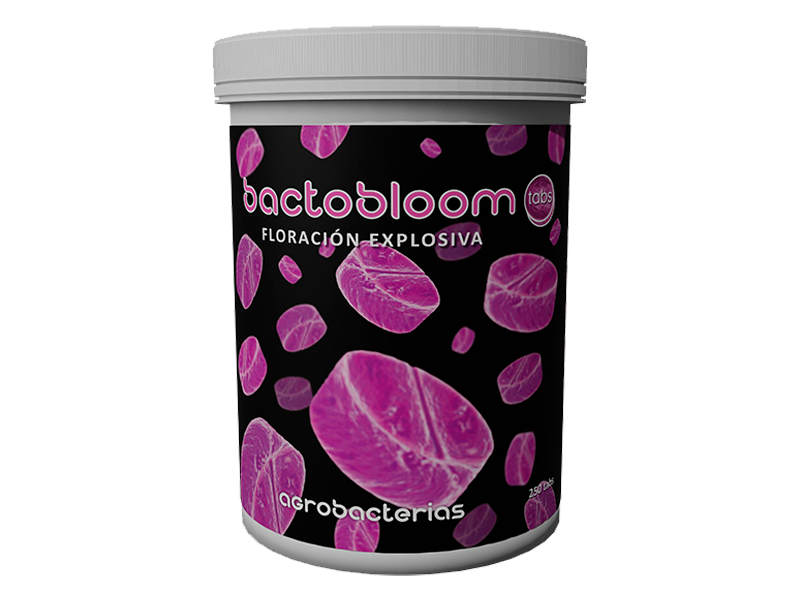 Bactobloom  Tabs