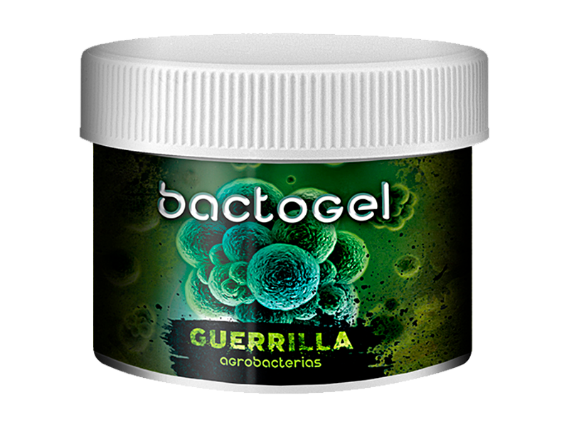 Bactogel