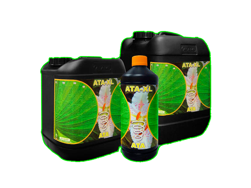 Ata XL