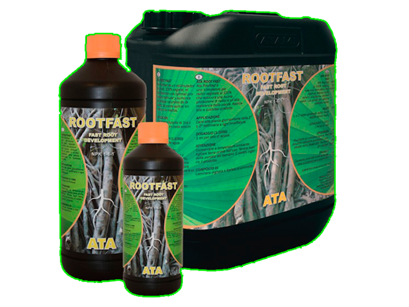 Root Fast