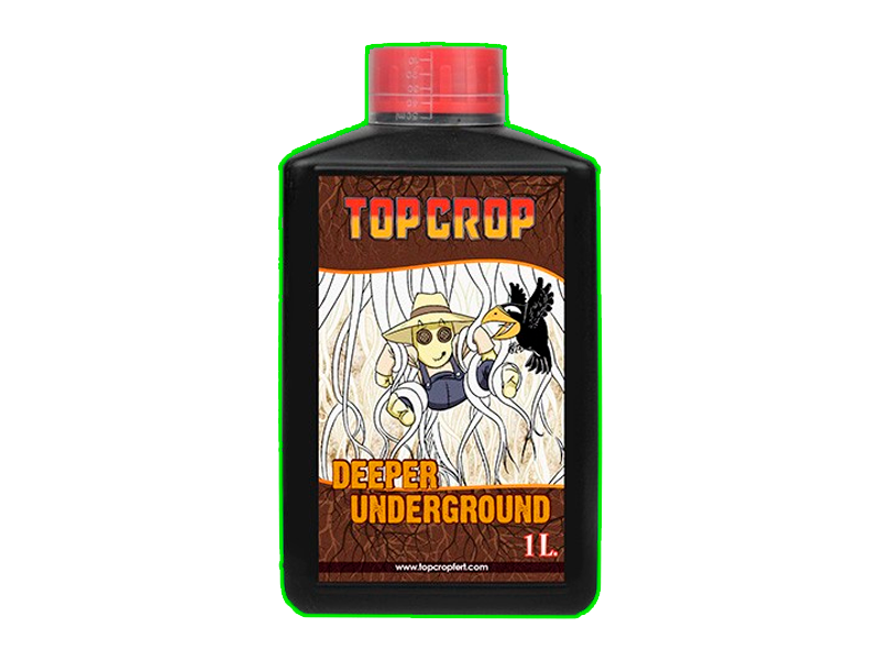 DEEPER UNDERGROUND