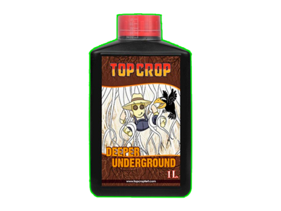 DEEPER UNDERGROUND