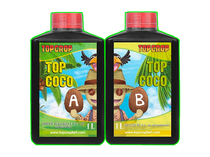 Top Coco A y B