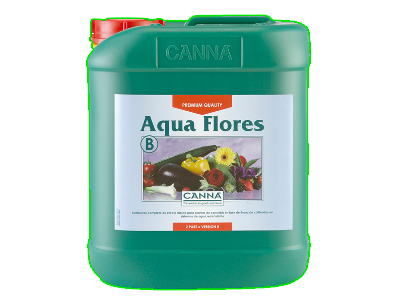 Aqua Flores B