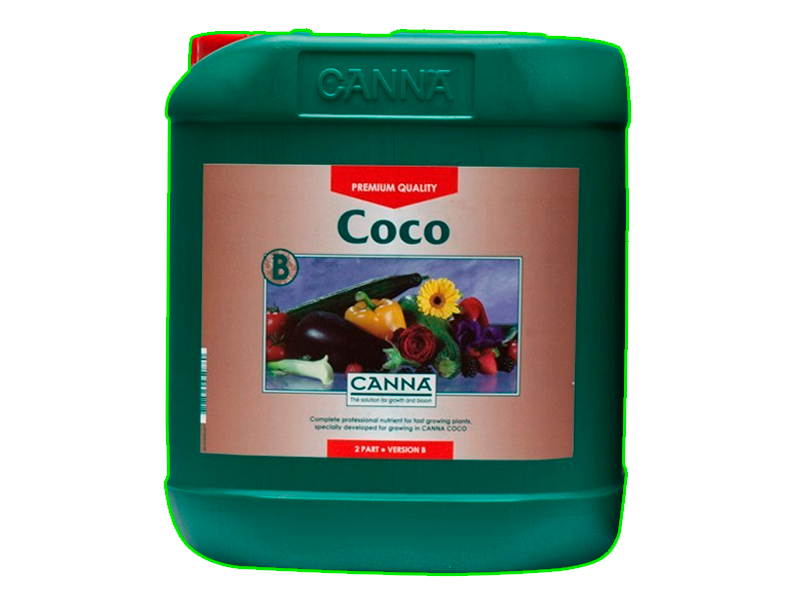 Coco B