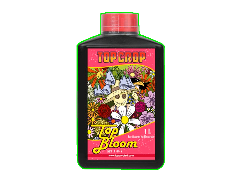 Top Bloom