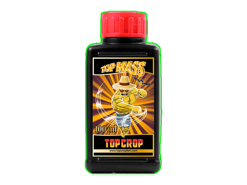 Top Mass