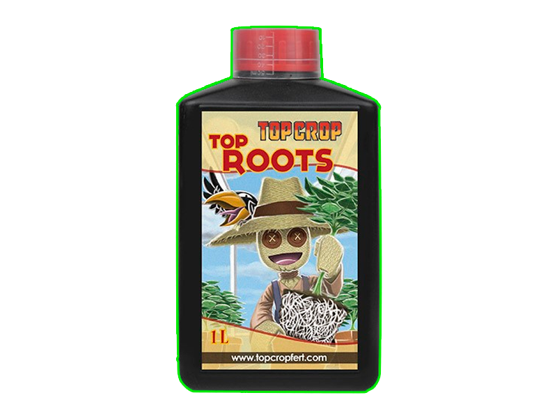 Top Roots