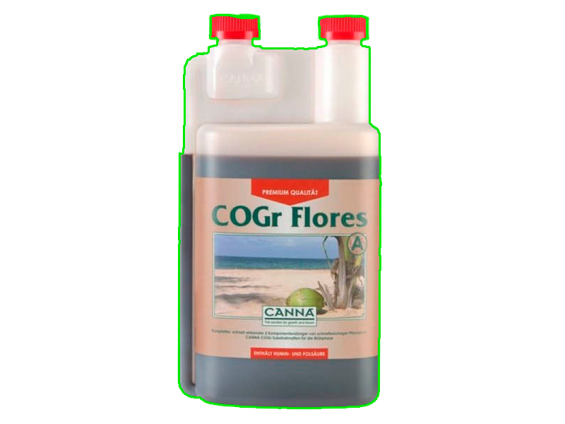 Cogr Flores B