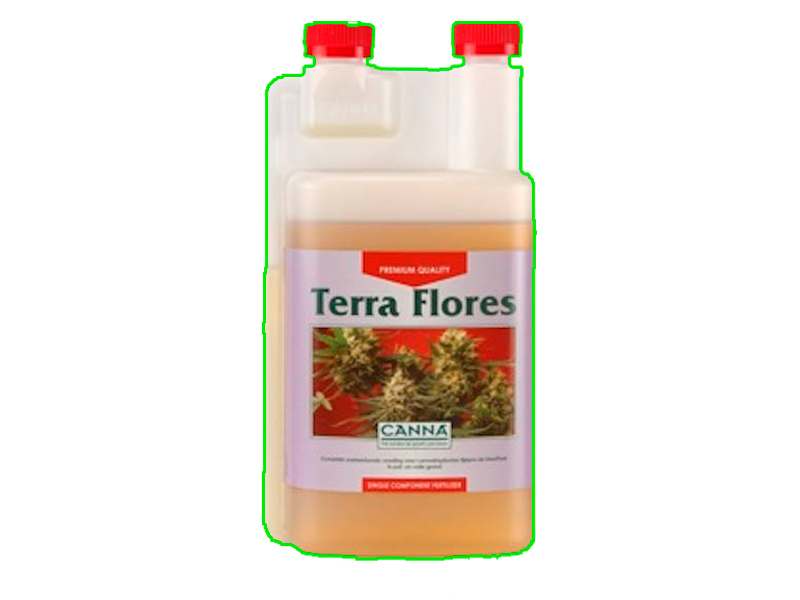 Terra Flores