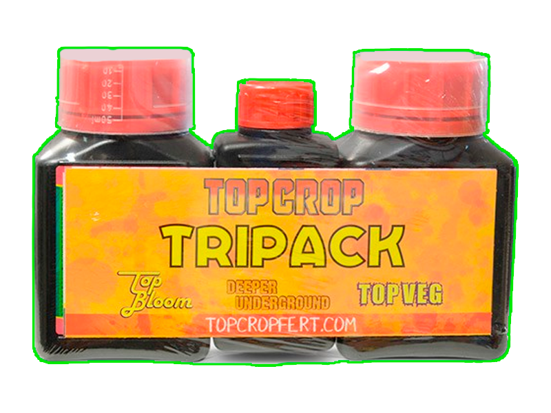 Tri Pack Top Crop