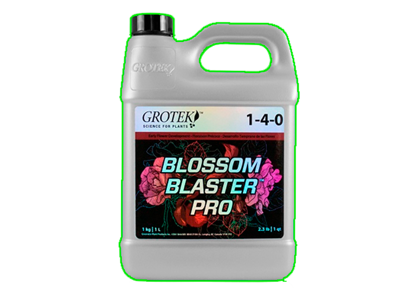 Blossom Blaster Pro